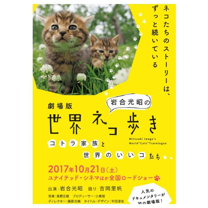 8f75ebcf c4a7 42c5 86cc 26698f0833b1