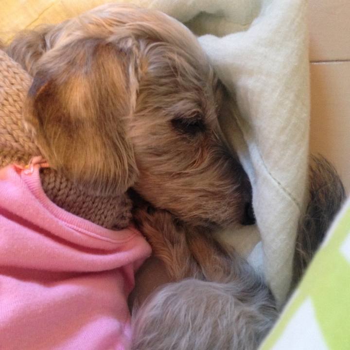 8f76faff 3d91 41ad ad87 35676c437210