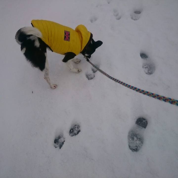 8f776bf0 fa3b 4068 9d38 caaef5f9b6b9