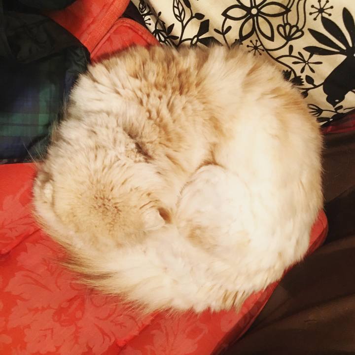 8f779819 3778 4095 9232 f7ce5f0bfe76