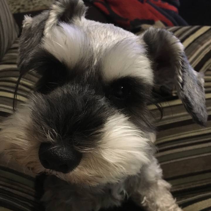 8f7830ce 7e4d 41f3 8b6d b86da7dc9de6