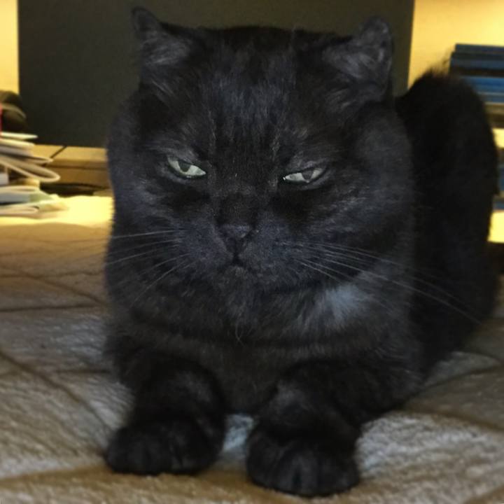 8f785be5 e760 4188 9cc3 bd63b1244d72