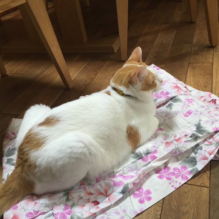 8f78aefc ce94 4ca2 a4f3 be335a910fdb