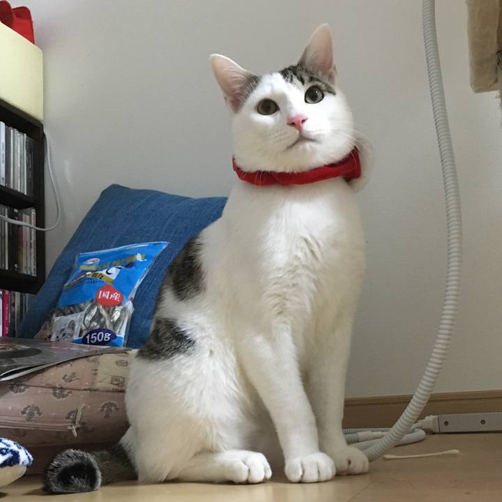 8f78cfee 9c33 4a02 8249 9c00b848fac7