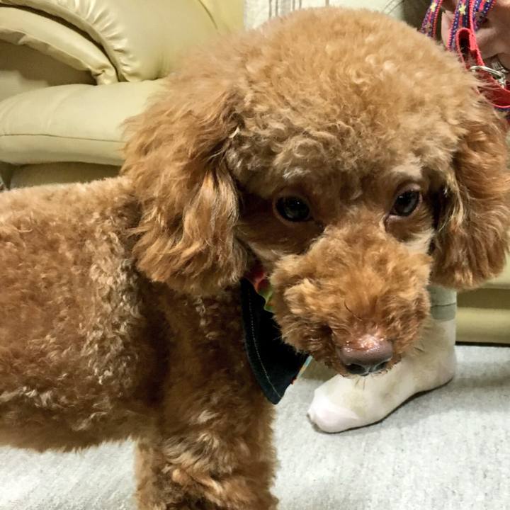 8f78f561 79b0 4ca9 b5fe 20acd00124d4