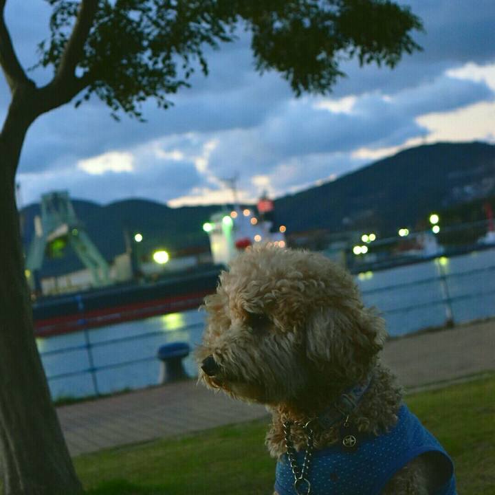 8f78fcd2 ec52 4f90 a98e 09968e162e2e