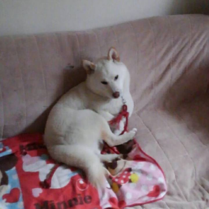 8f7905bf 44fa 4cbc b356 ff6502016069