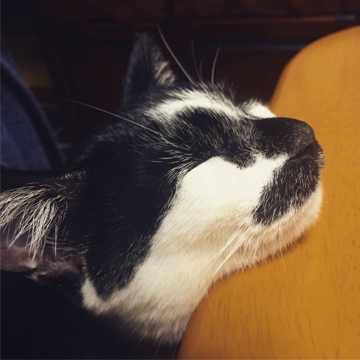 8f797536 df47 427c a5cf d8a05fa760b2