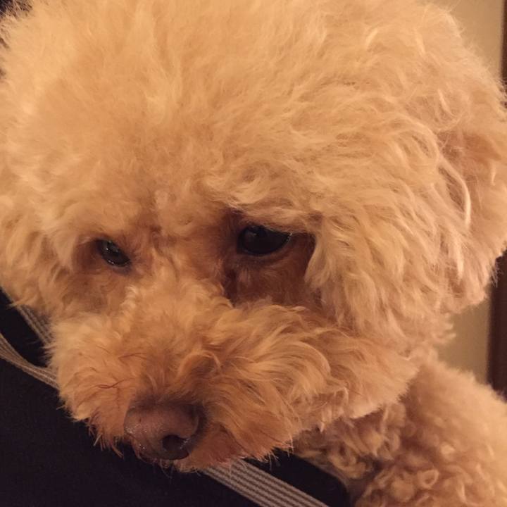 8f798177 189c 4c70 8cbf 88d8f7414662