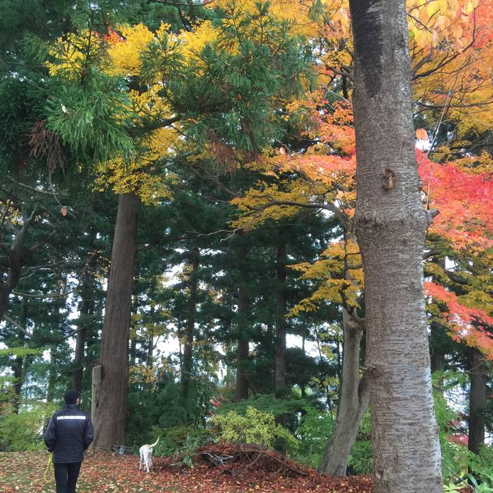 8f79986c 9f32 48ae b5eb 4dc03bc1cc65