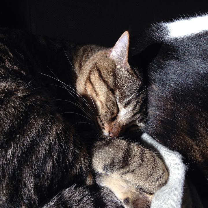 8f79ecf7 4618 4b7a 94ad 7bc5fe59e5da