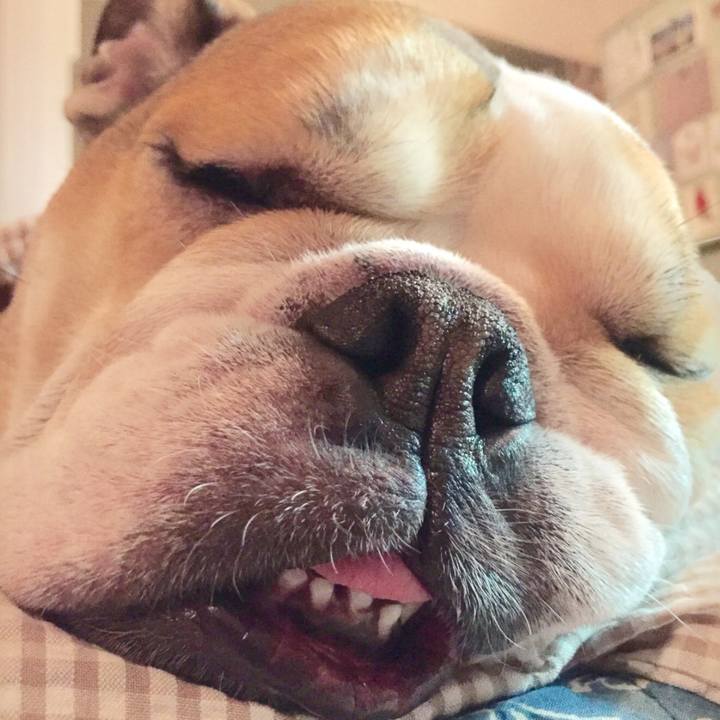 8f7ba480 8fab 4f99 a49f bf17db2530ac