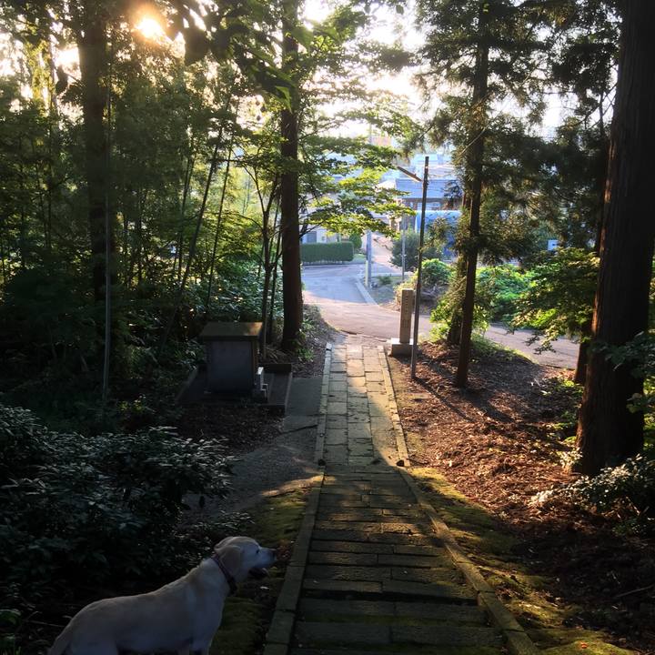 8f7cac76 f414 4a93 b6f1 4751f55ad88a