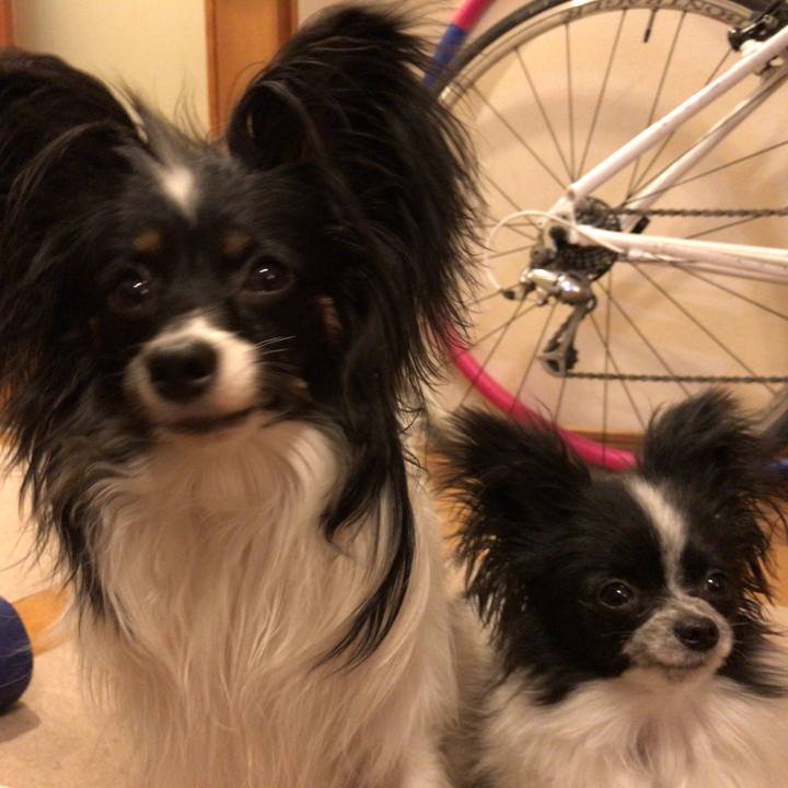 8f7db6fd 3ce8 4c6c 899c f01efb7d9013