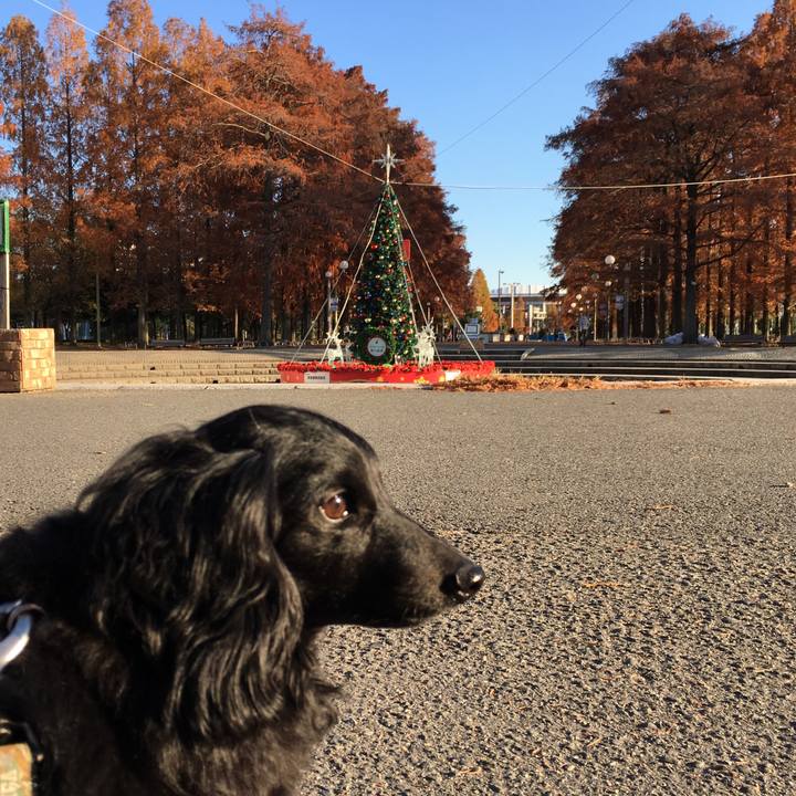 8f7e47f5 e56e 4ad1 8046 c9648246654f