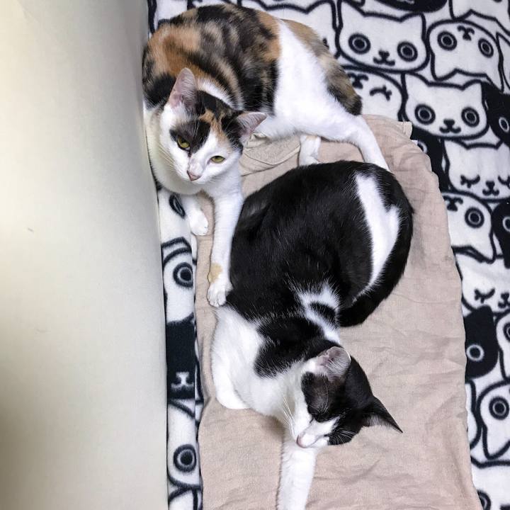 8f7e5d47 81ae 4e2f bf48 59bb2ae9ca21