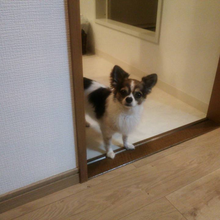 8f7e6f2c f957 4228 a0cc daf521b15642