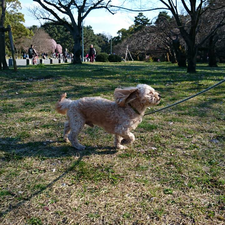 8f7e8151 4eb9 433b 9fd2 8e1b568f57e0