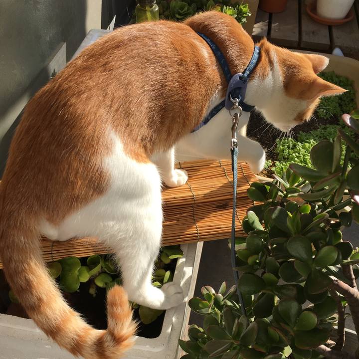 8f7e89cf 3dcf 4e85 af78 76f15af8b2f8