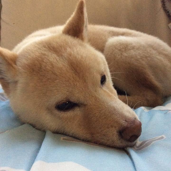 8f7ea62c d42b 4dd9 af5d 28ba00c229ea