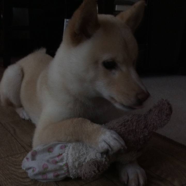 8f7f2be2 e831 4406 b31f 34eaa9496deb