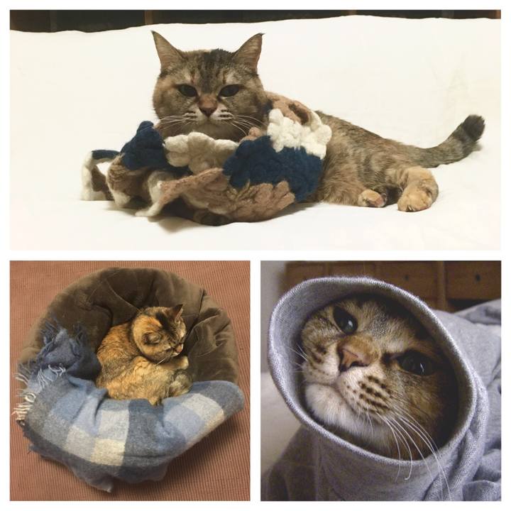 8f7fdfac 2cd2 4584 bb3d 7a618d91d05c