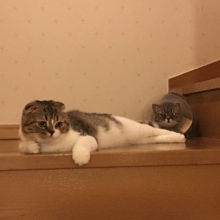 8f80cb0d e50a 426b 919f 531c2ac4322d