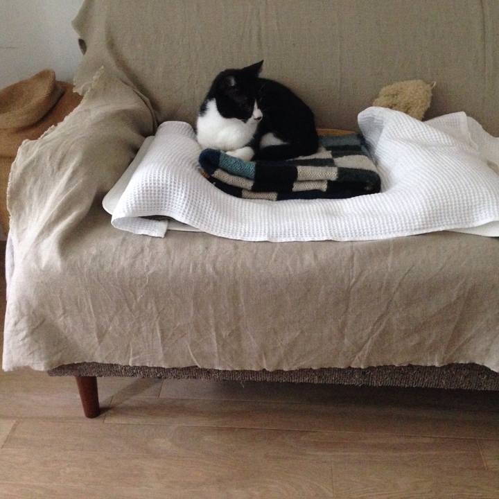 8f80d543 0ebc 4a6d 9486 47f60b615723