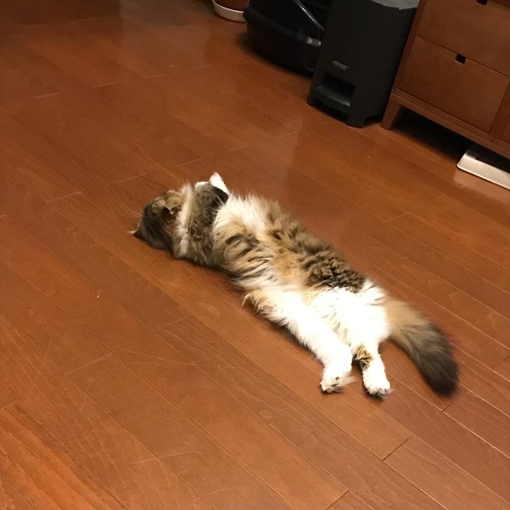 8f821097 b15d 4093 8a06 b7f934345fc3