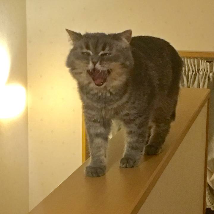 8f821843 c5c9 423a a730 d3a6505f4287