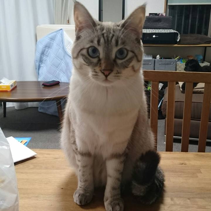 8f825e31 bee4 4e96 a69c c8782aea1e92