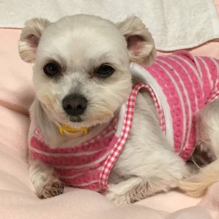 8f829bd1 c5b4 4d2a bc10 75af4cf88d2f