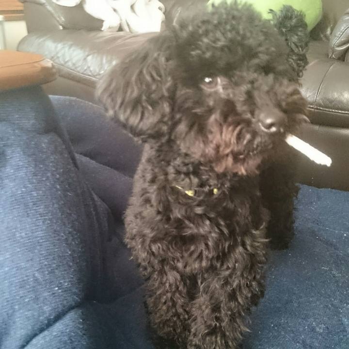 8f82e75e f0b4 46fc b1a2 f532be0abf70