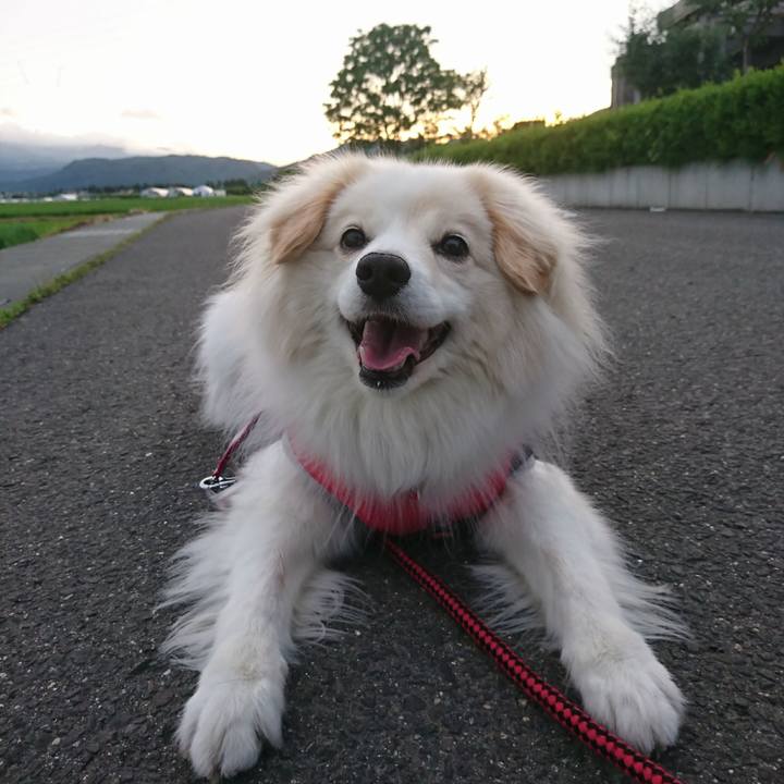 8f8308a2 827d 4927 8231 bb1a83fd60a0