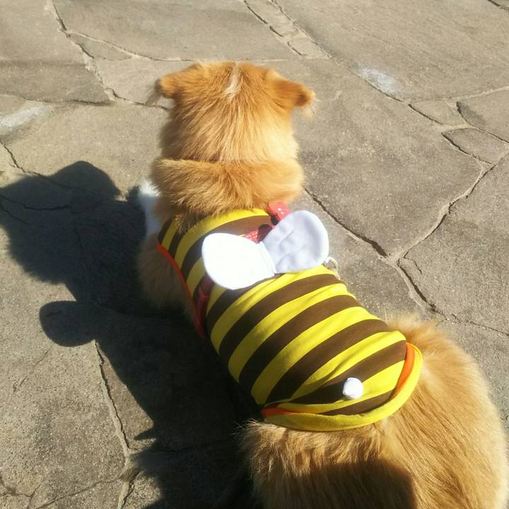 8f83793a 98dd 4184 9c44 e66c3728042b