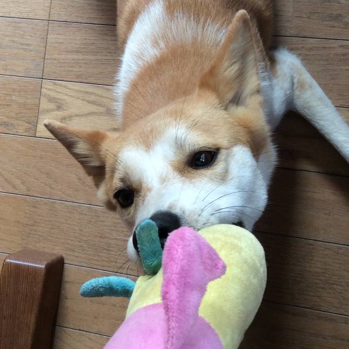 8f8544e6 604b 484d aeaa 69a5ef5c7870