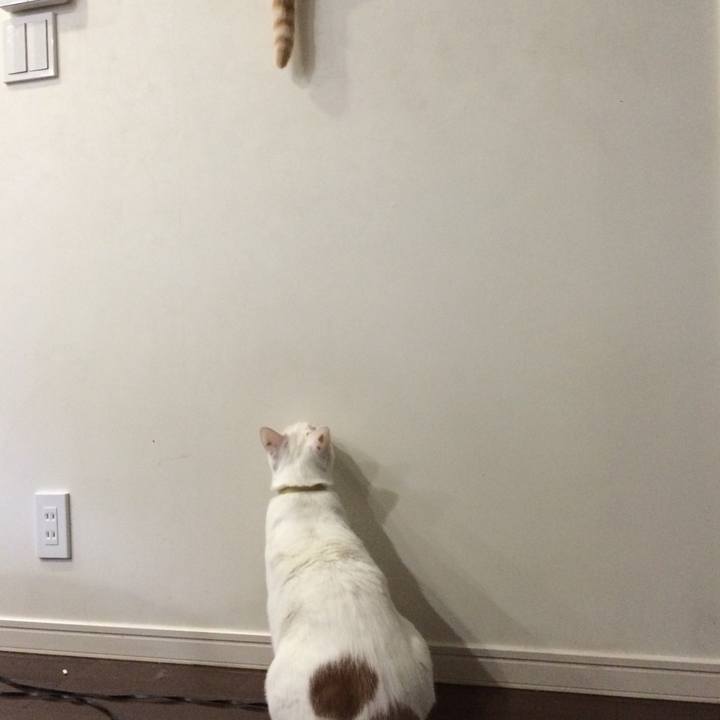 8f884d25 646b 4af4 bbfd 568c439283a1