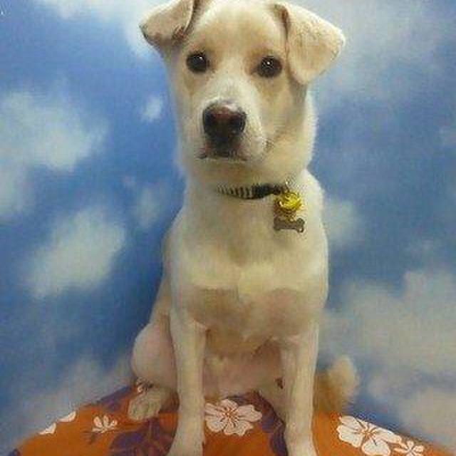 8f888c1d 73c8 430f b6ae 88ec60173b1a