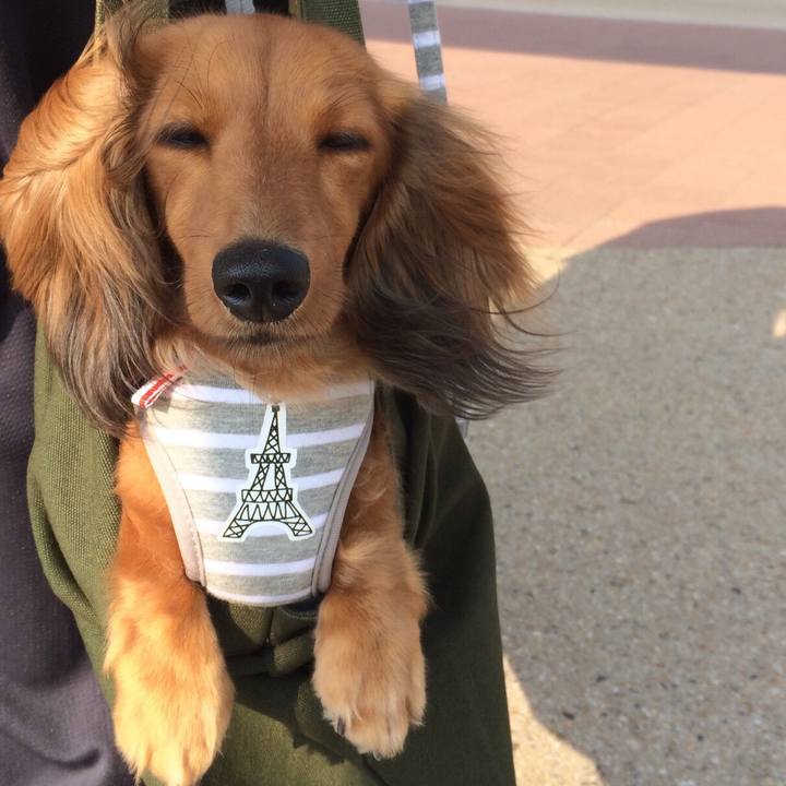 8f88ab59 4d9f 4a4a 878e 418f1acc8dad