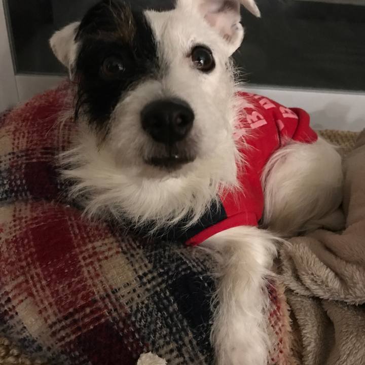 8f88c337 243c 46b9 adbc ce41102594a5