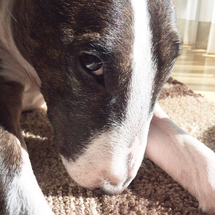 8f88eeb8 dcd4 4415 b88b 51817eb0f2cd