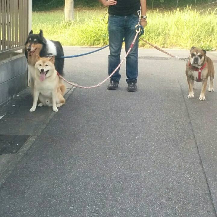 8f8903cc 7101 43ab a0fa a1eef522da98