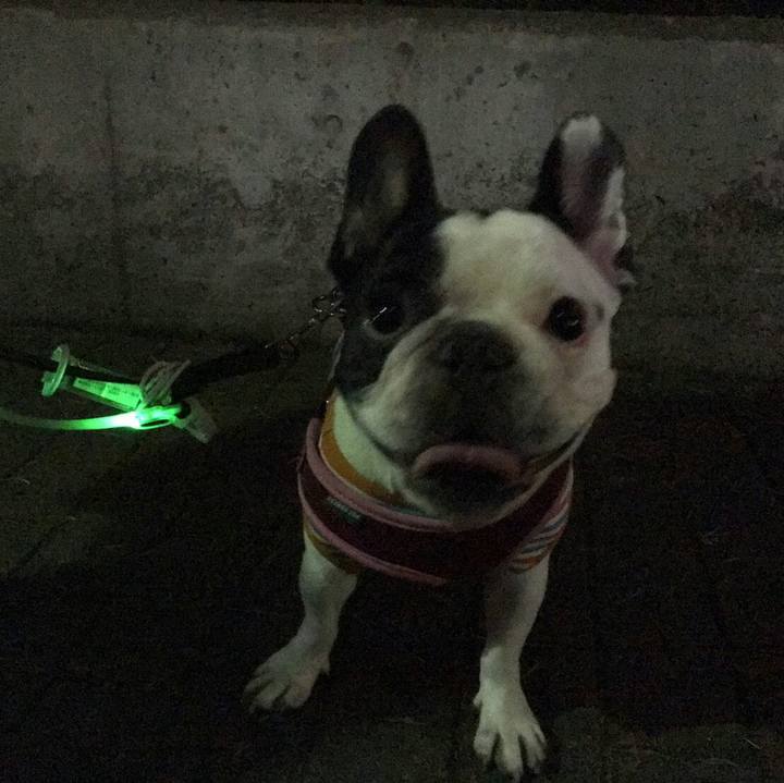 8f89c4dd bafa 43ee a435 bc65afd0c799