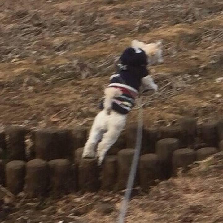 8f8a3cdd d6f4 478c 96c7 87a99800833a