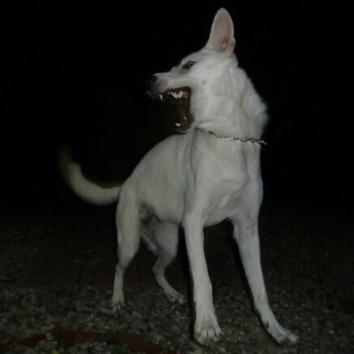 8f8a84ba 354d 433a 86c7 51afe47d9cbb