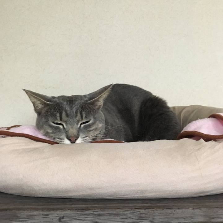 8f8b5ccf 0275 4705 a442 4ac648a82516