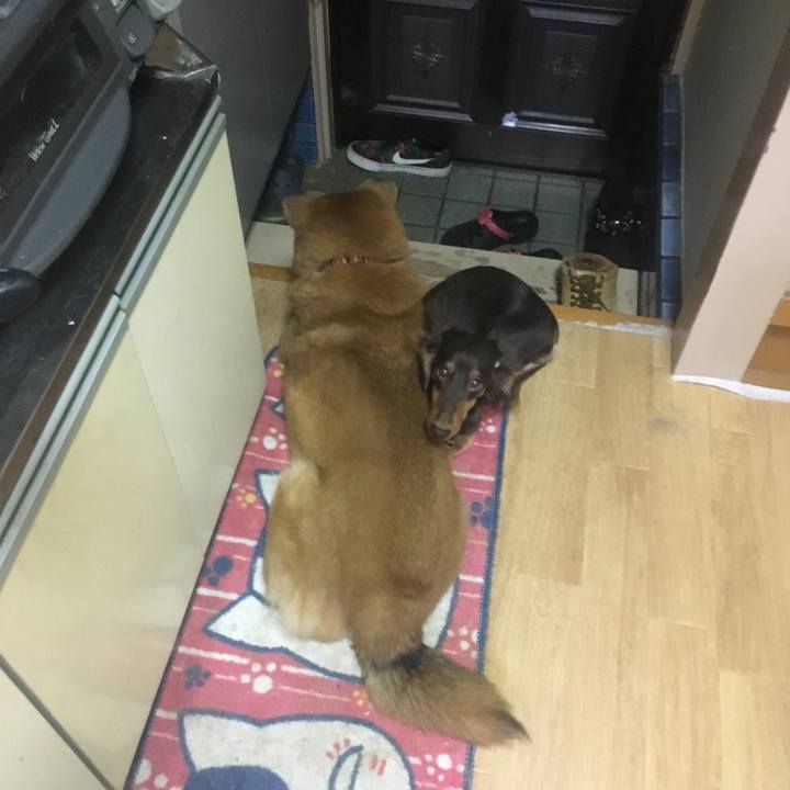 8f8b9f9c ca24 46a0 8ba4 013c2d2d1548