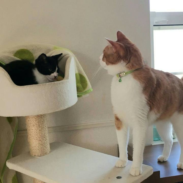 8f8c2349 d42a 4f3a 9f41 8bcc89b0b3c3