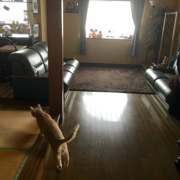 8f8c5566 eaf4 45ea b564 8e3c1e9950aa