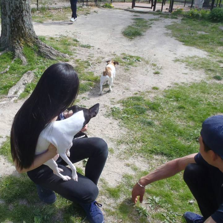 8f8ca670 cc3b 450d ac1e 525392412d0e